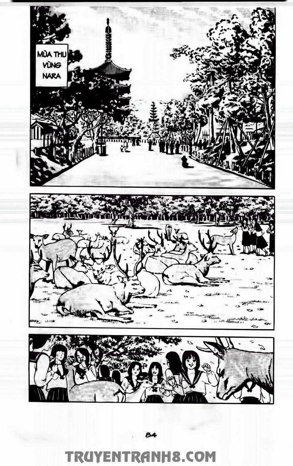 Musashi Chapter 172 trang 1