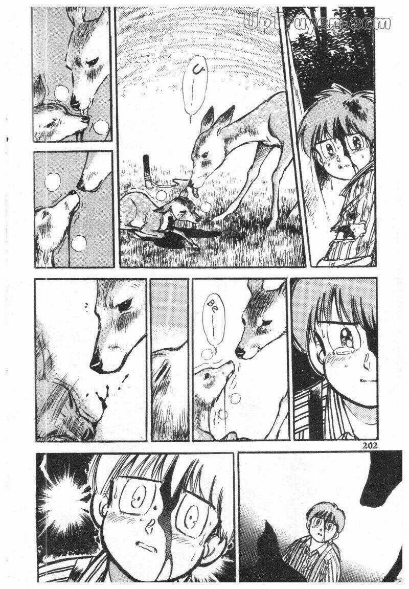 Mush (Họa Sĩ Thiên Tài) Chapter 6 trang 204