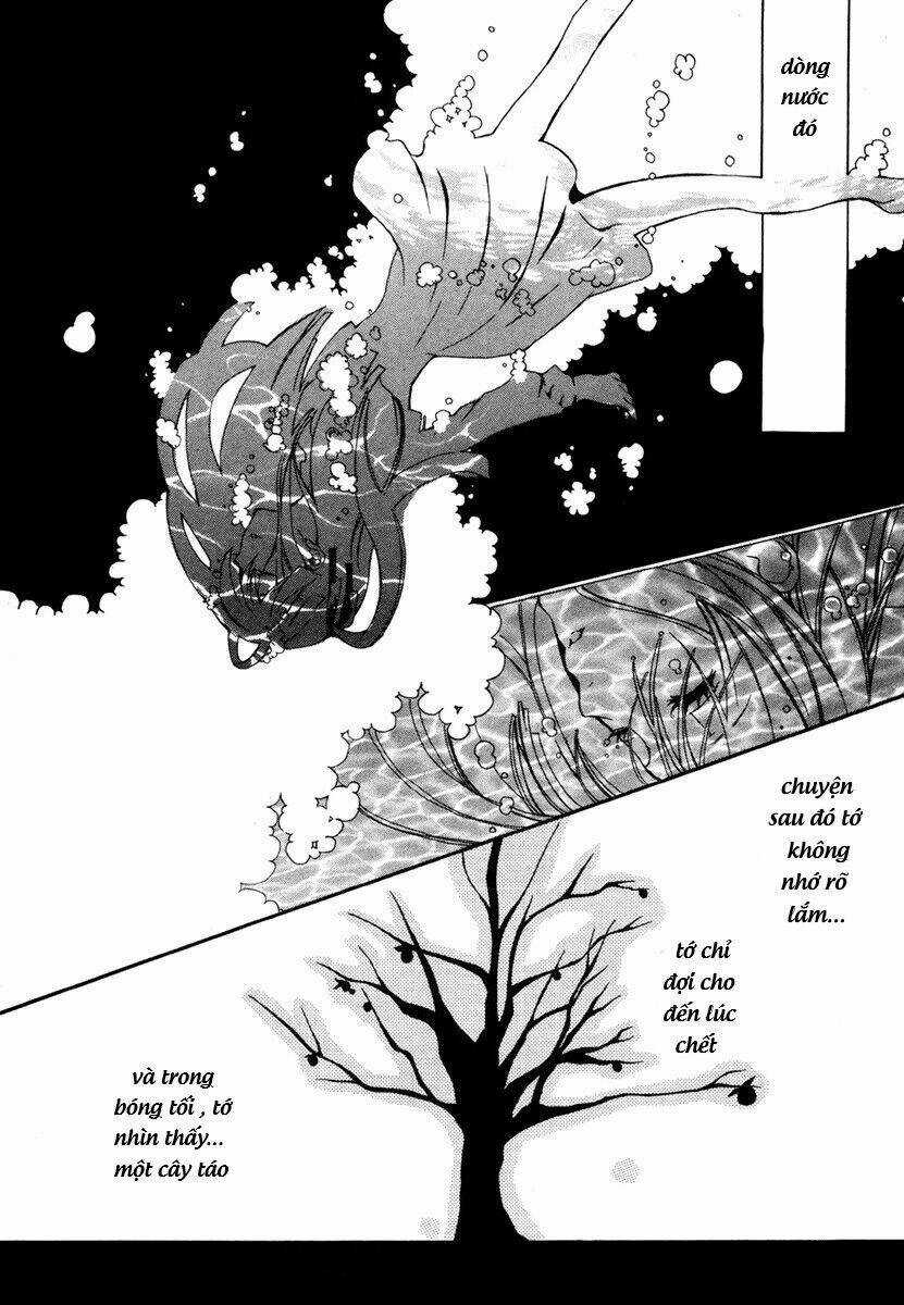 Mushi To Medama To Teddybear Chapter 5 trang 11