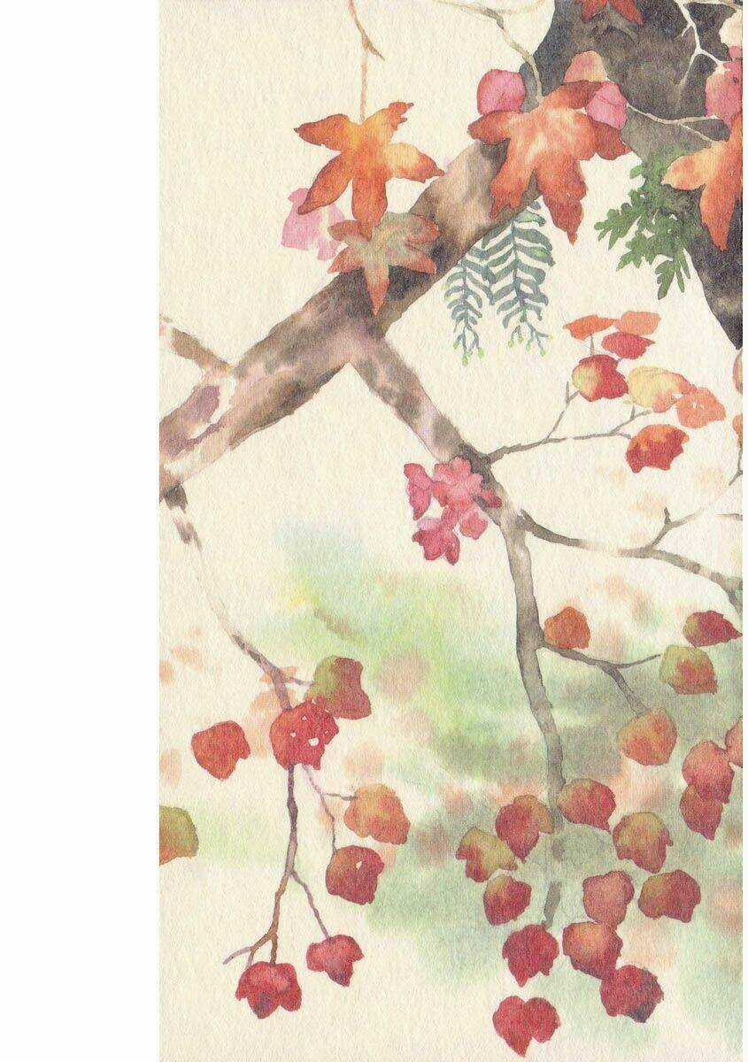 Mushishi Chapter 16 trang 2