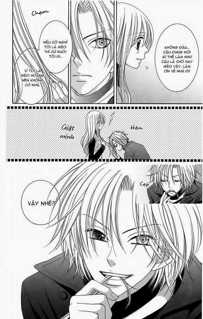 My Dear Cat Chapter 1 trang 11