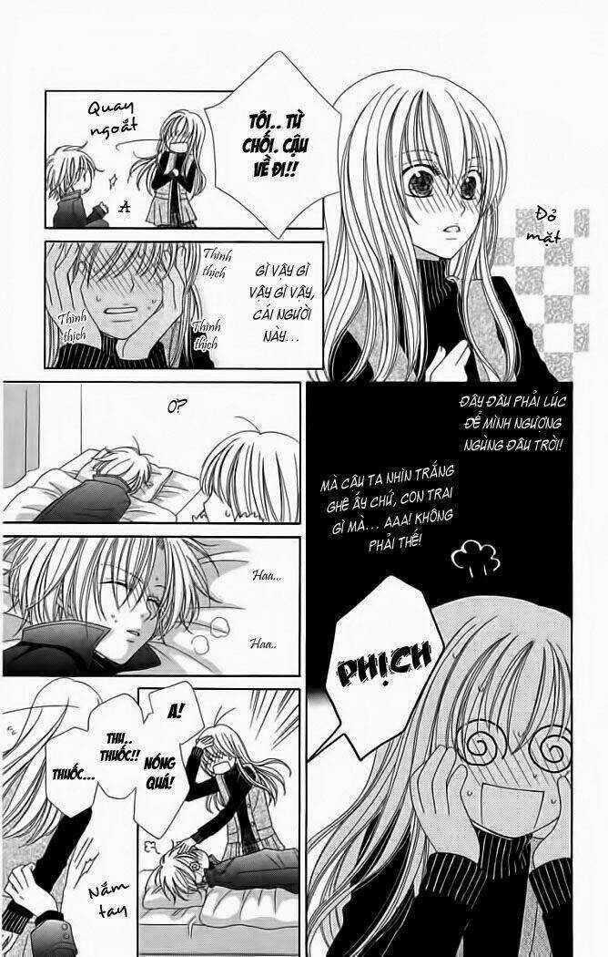 My Dear Cat Chapter 1 trang 12