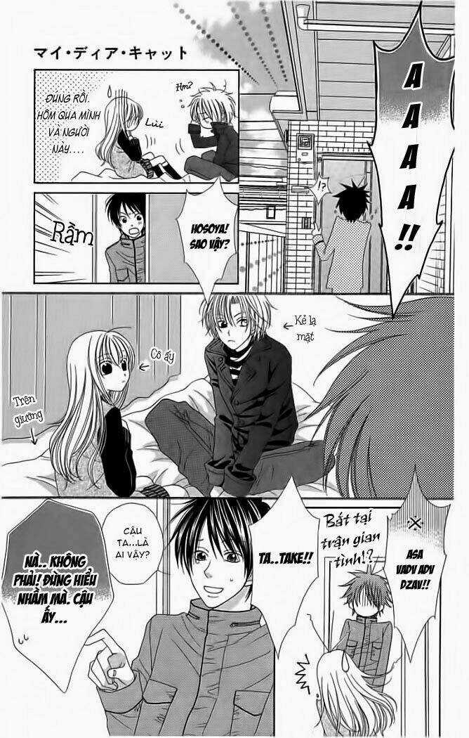 My Dear Cat Chapter 1 trang 16