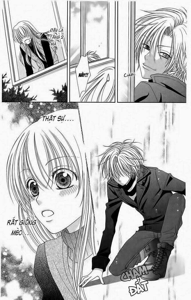 My Dear Cat Chapter 1 trang 20