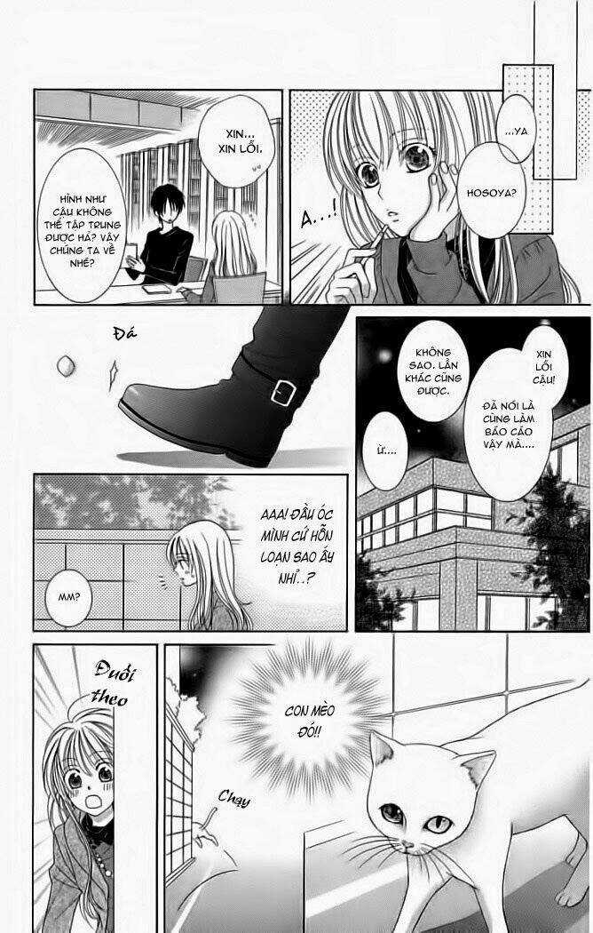 My Dear Cat Chapter 1 trang 21