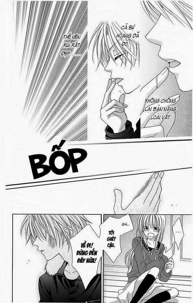 My Dear Cat Chapter 1 trang 31