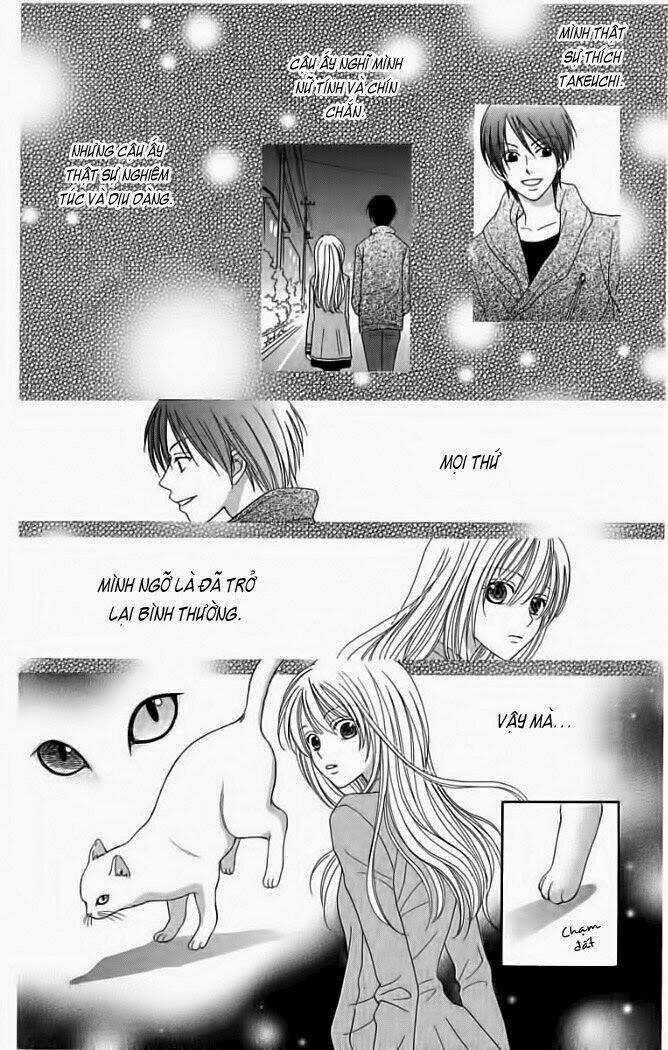 My Dear Cat Chapter 1 trang 33