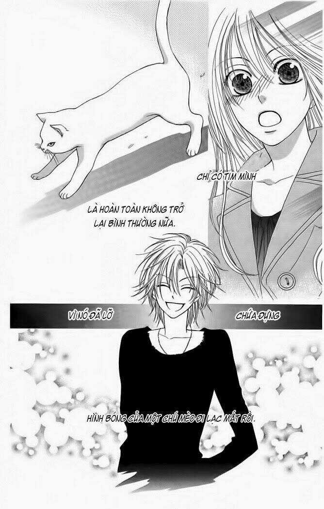My Dear Cat Chapter 1 trang 35