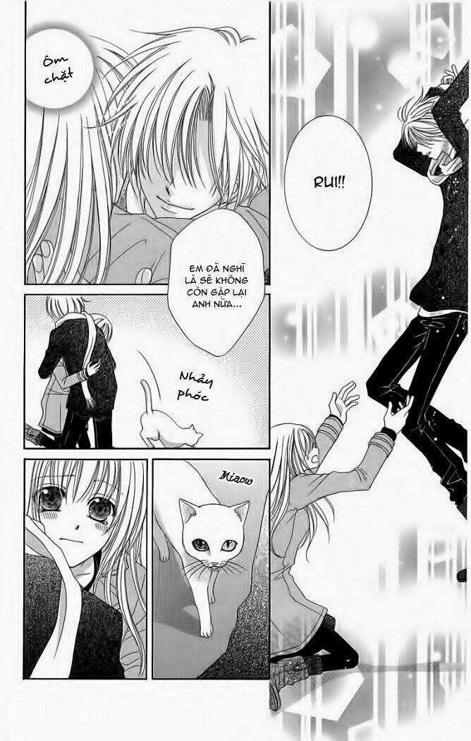 My Dear Cat Chapter 1 trang 39