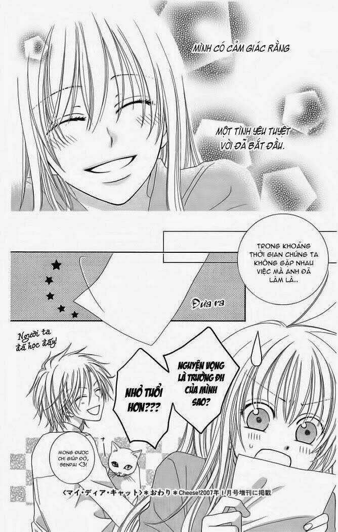 My Dear Cat Chapter 1 trang 43