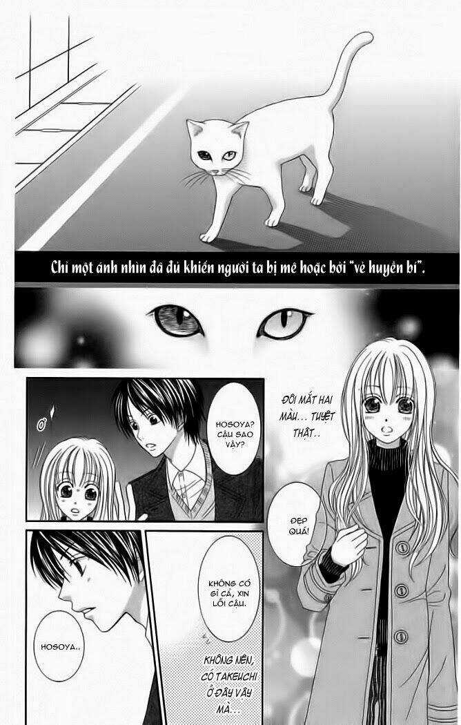 My Dear Cat Chapter 1 trang 5