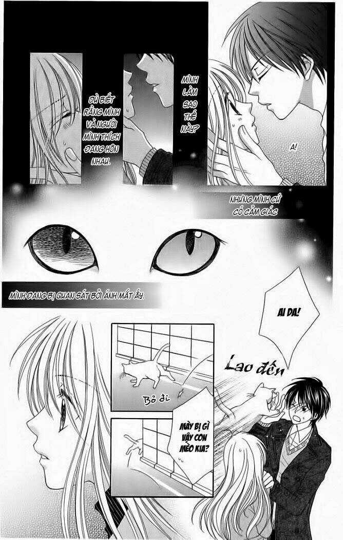 My Dear Cat Chapter 1 trang 6