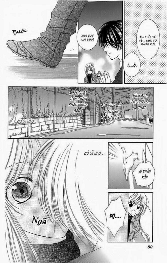My Dear Cat Chapter 1 trang 7
