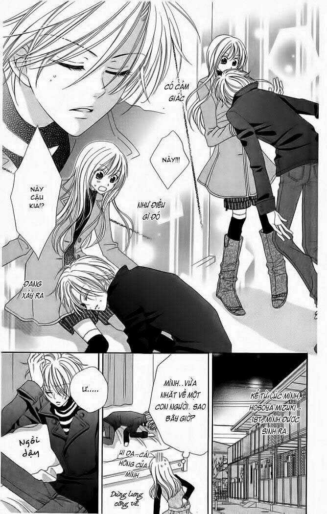 My Dear Cat Chapter 1 trang 8