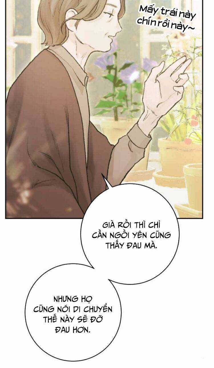 My Demon - Ác Quỷ Của Tôi Chapter 5 trang 37