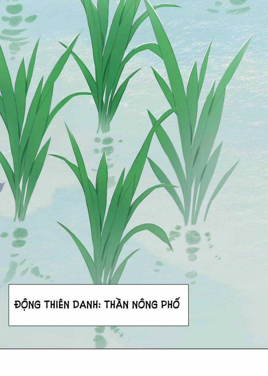 My Harem Grew So Large, I Was Forced to Ascend Chapter 32 trang 91