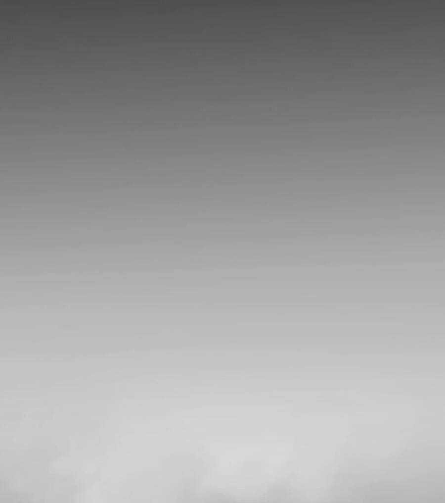 My Harem Grew So Large, I Was Forced to Ascend Chapter 57.5 trang 81