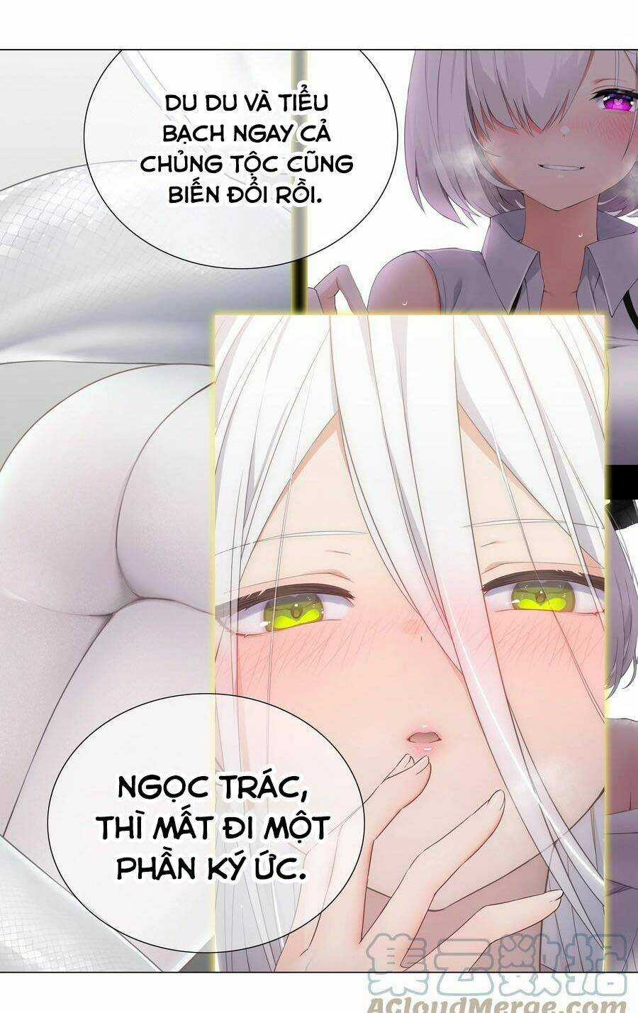 My Harem Grew So Large, I Was Forced to Ascend Chapter 68 trang 44