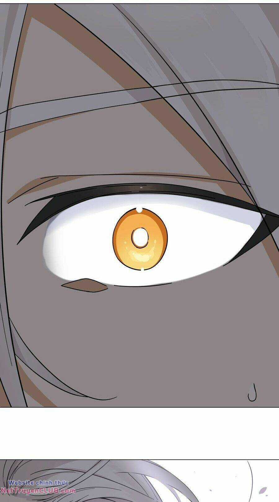 My Harem Grew So Large, I Was Forced to Ascend Chapter 71 trang 64