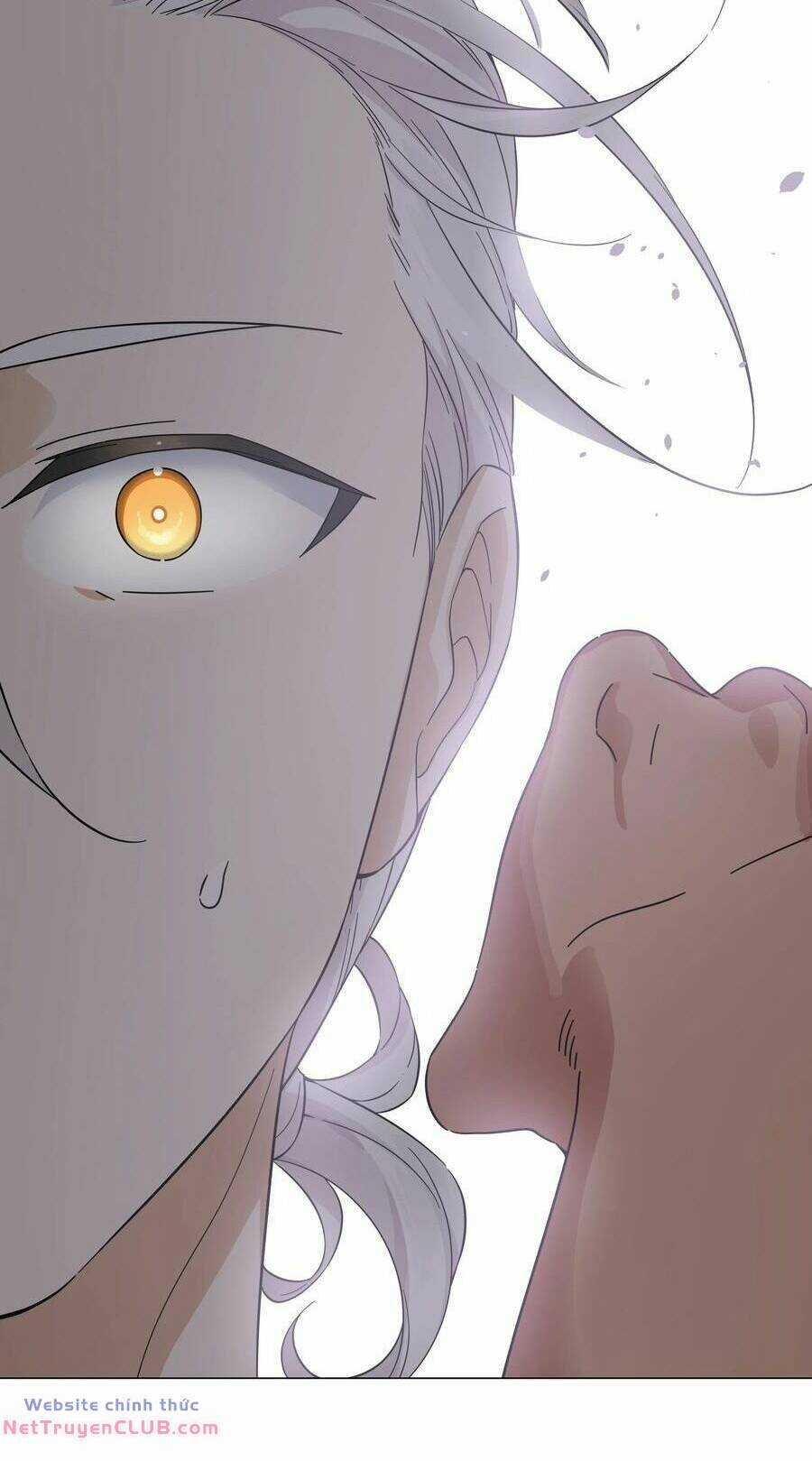 My Harem Grew So Large, I Was Forced to Ascend Chapter 71 trang 65