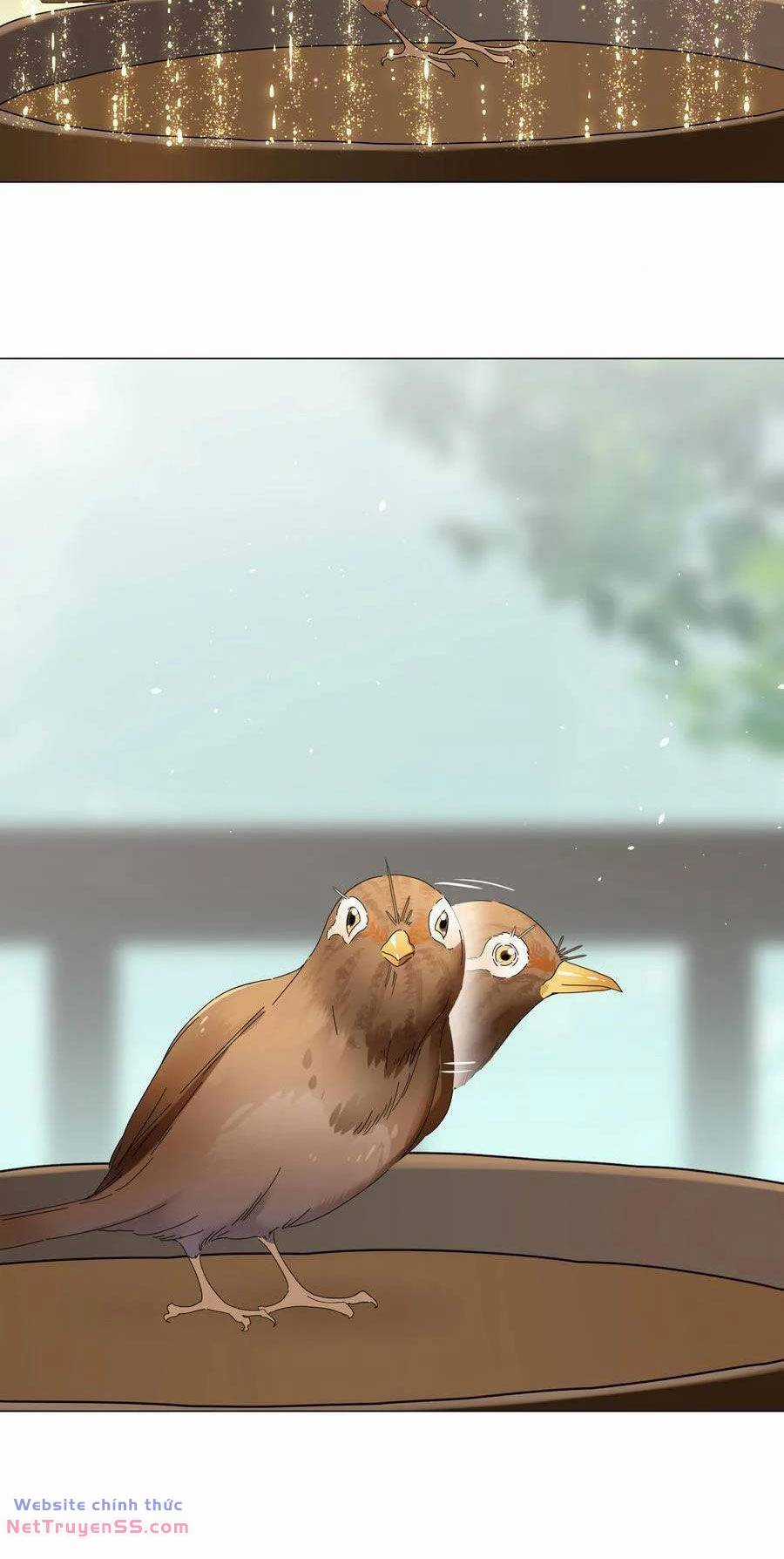 My Harem Grew So Large, I Was Forced to Ascend Chapter 75 trang 91