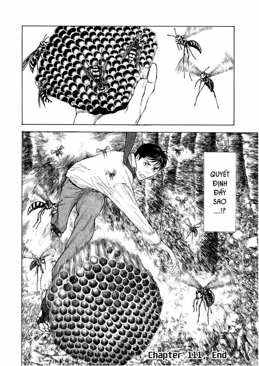 My Home Hero Chapter 111 trang 20