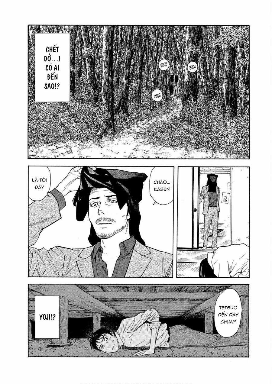 My Home Hero Chapter 114 trang 7