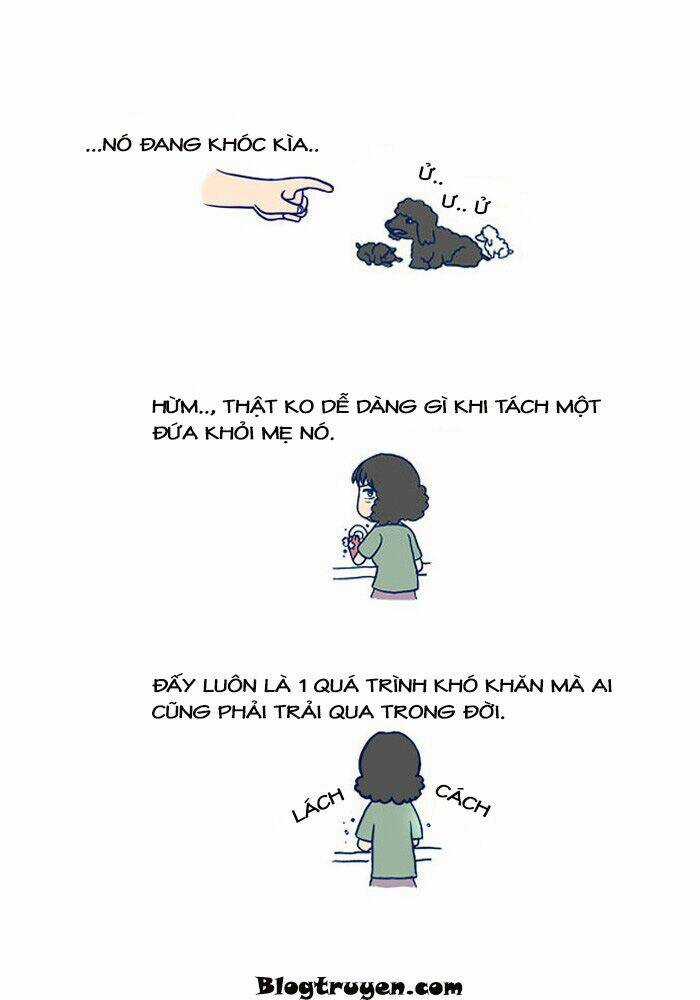 My Kitty And Old Dog Chapter 11 trang 4