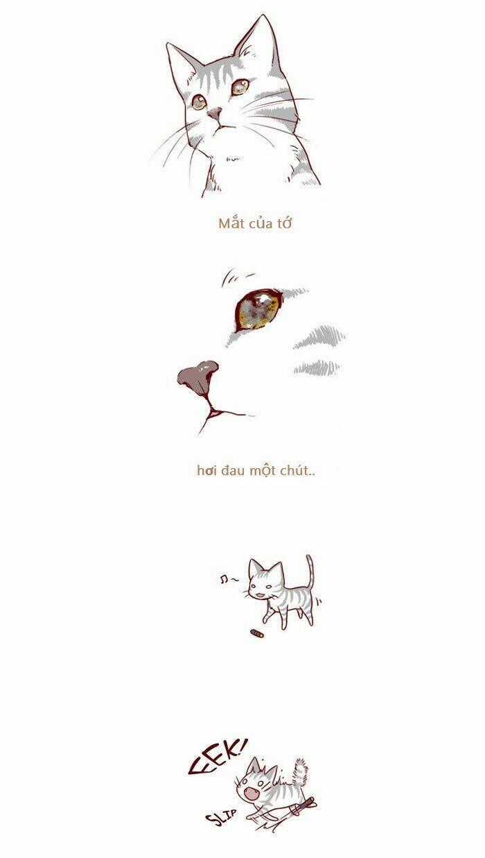 My Kitty And Old Dog Chapter 3 trang 1