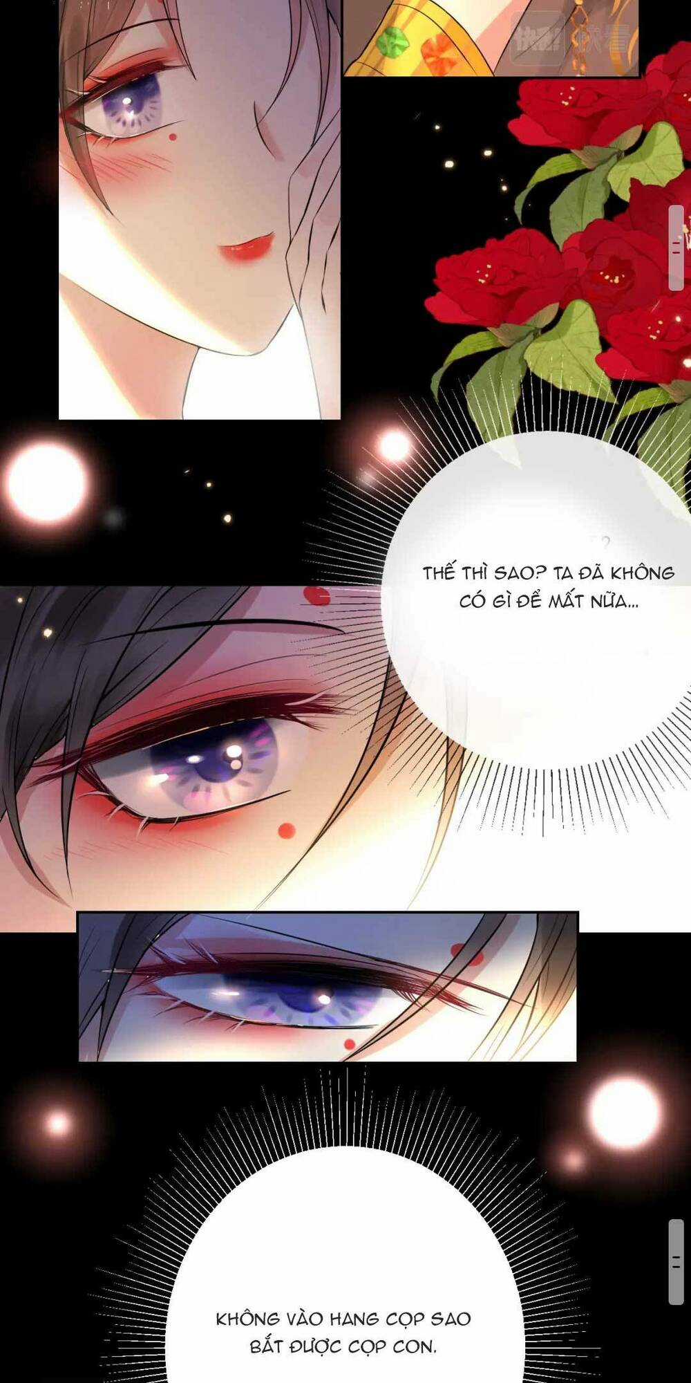 Mỹ Nhân Ác Độc Làm Rung Động Lòng Người Chapter 2 trang 11