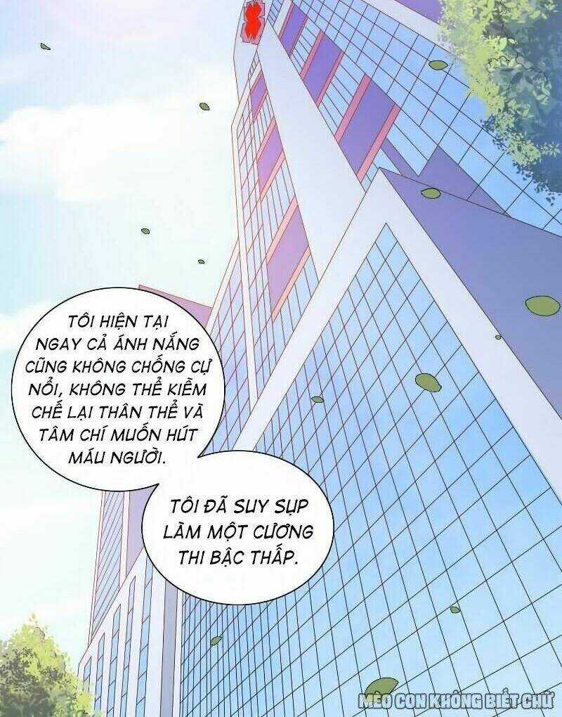 Mỹ Nữ Đại Tiểu Thư Đích Cương Thi Cao Thủ Chapter 94 trang 19