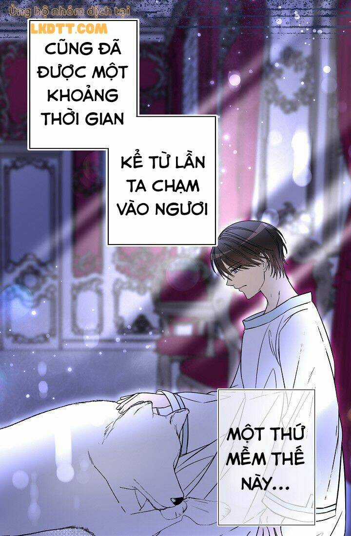 Mylord, Nữ Hoàng Của Loài Sói! Chapter 16 trang 12