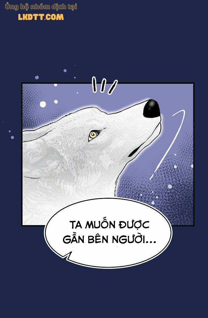Mylord, Nữ Hoàng Của Loài Sói! Chapter 16 trang 15
