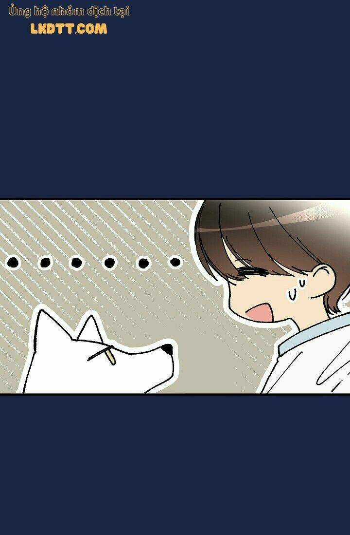 Mylord, Nữ Hoàng Của Loài Sói! Chapter 16 trang 19