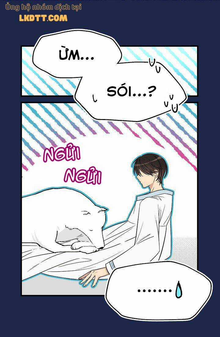 Mylord, Nữ Hoàng Của Loài Sói! Chapter 16 trang 4