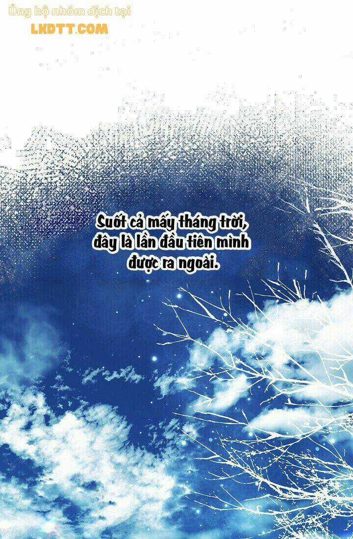 Mylord, Nữ Hoàng Của Loài Sói! Chapter 19 trang 37