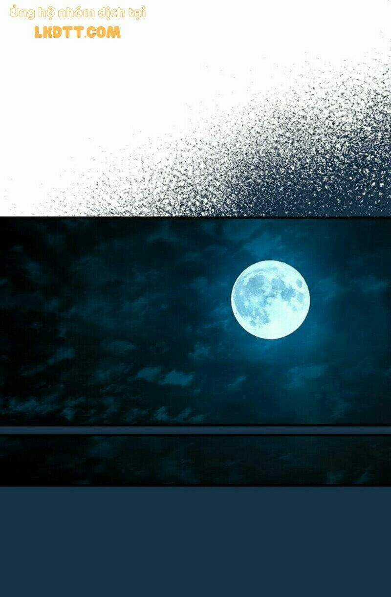 Mylord, Nữ Hoàng Của Loài Sói! Chapter 21 trang 12