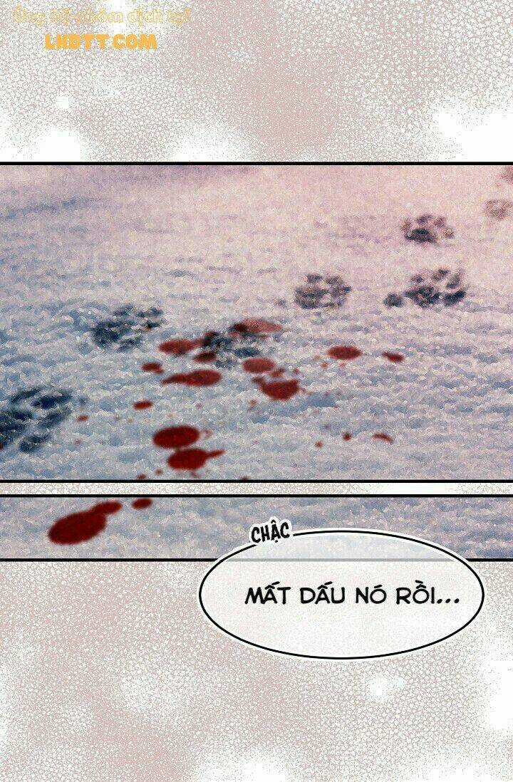 Mylord, Nữ Hoàng Của Loài Sói! Chapter 22 trang 24