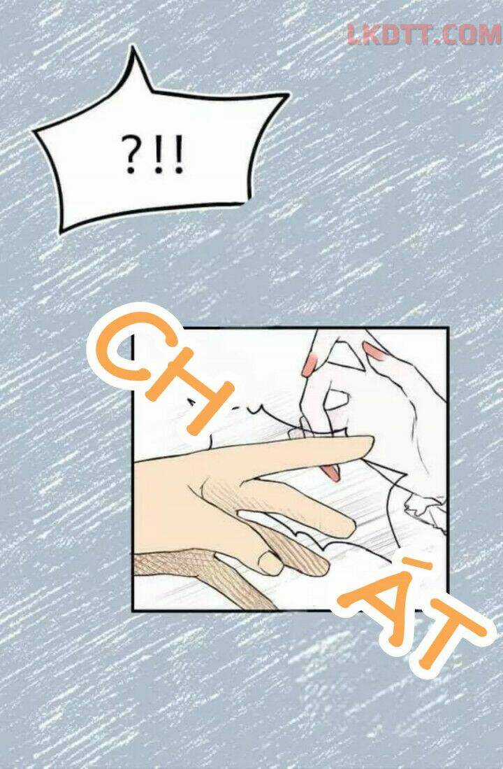 Mylord, Nữ Hoàng Của Loài Sói! Chapter 6 trang 2