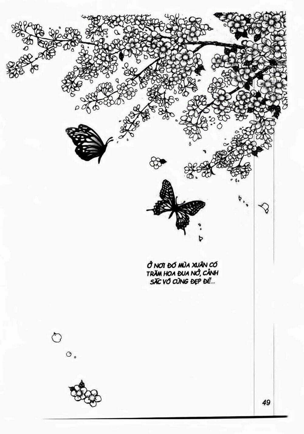 Nabi - Cánh Bướm Chapter 8 trang 19