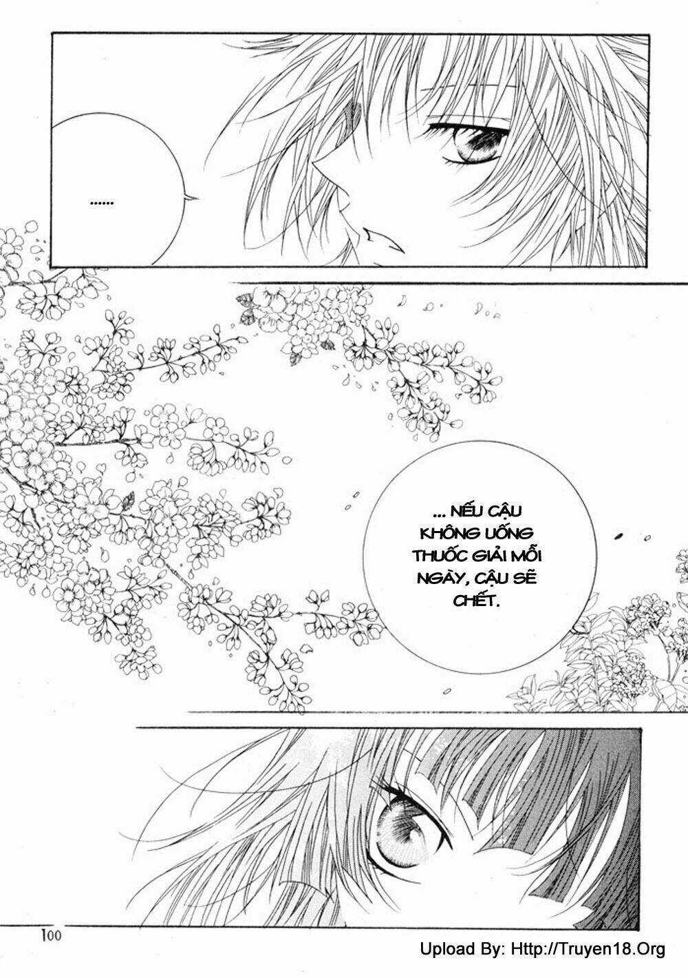 Nabi Chapter 12 trang 19