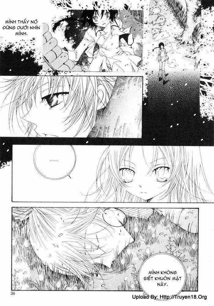 Nabi Chapter 14 trang 65