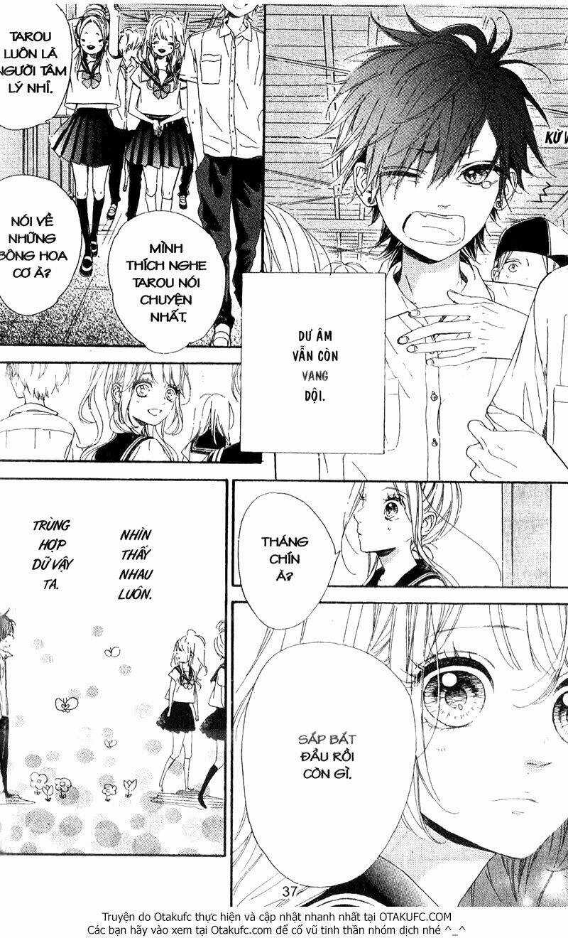 Nagareboshi Lens Chapter 39 trang 3