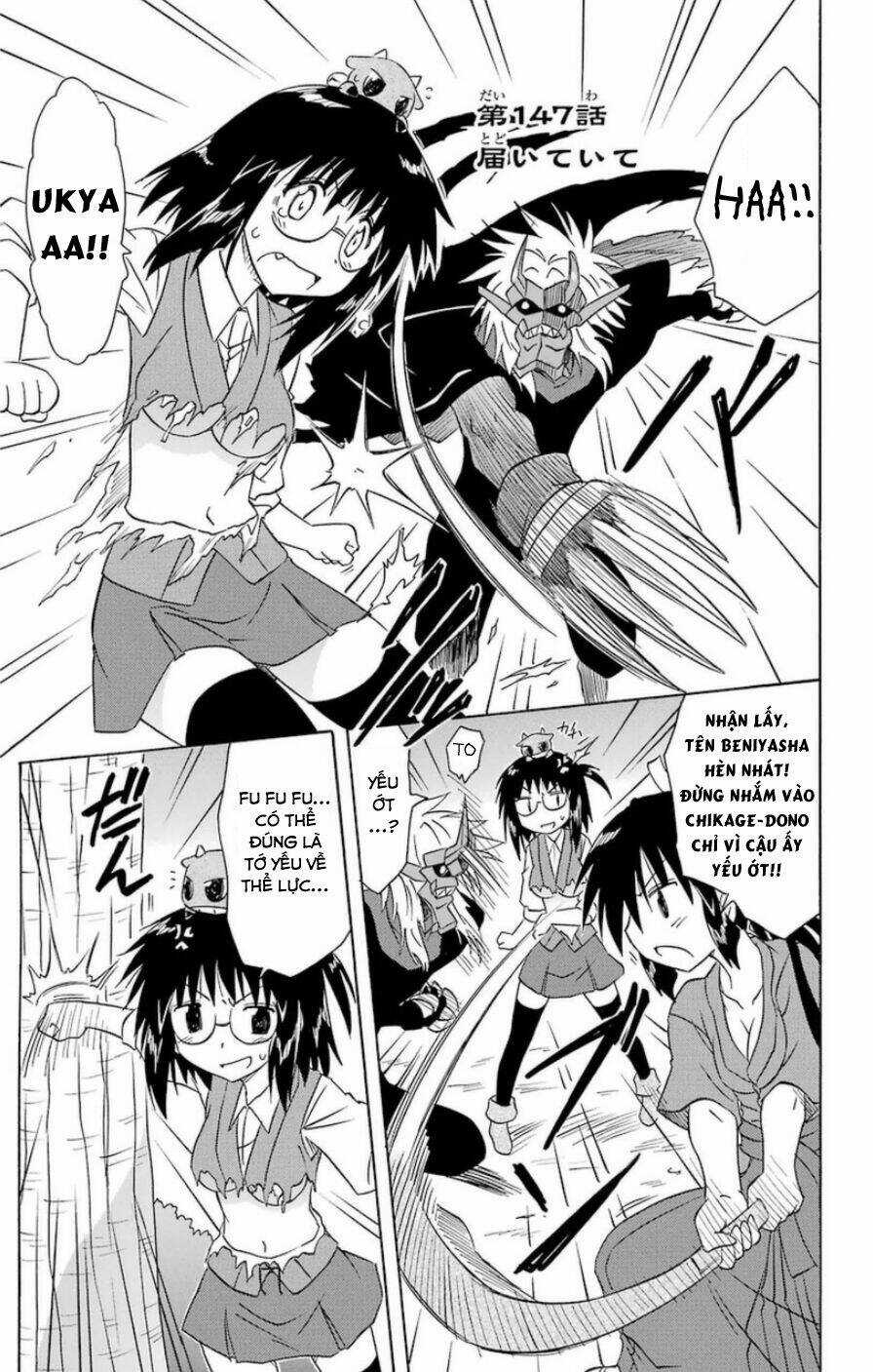 Nagasarete Airantou Chapter 147 trang 0