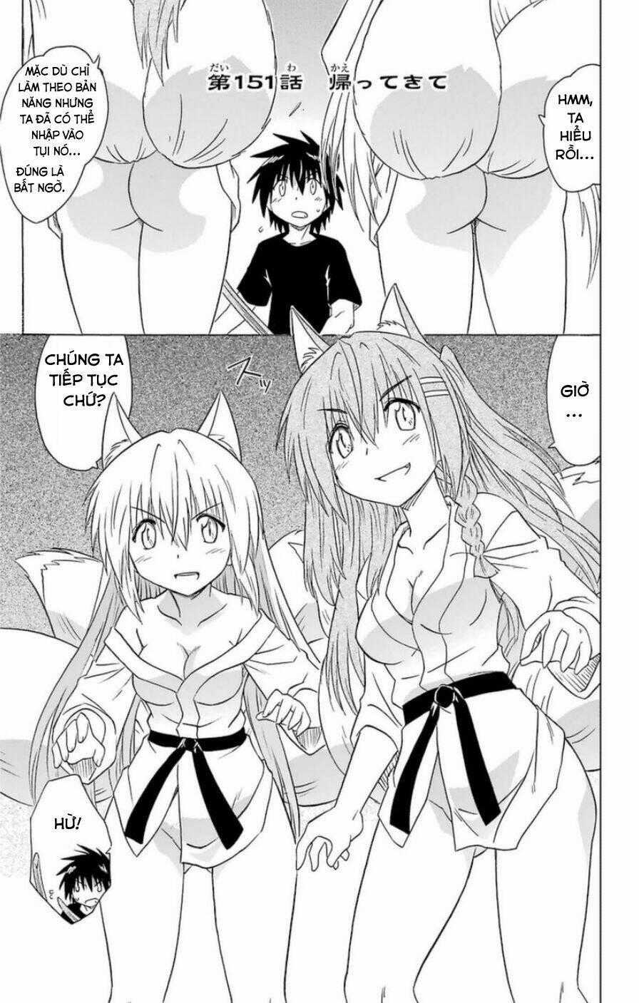 Nagasarete Airantou Chapter 151 trang 0