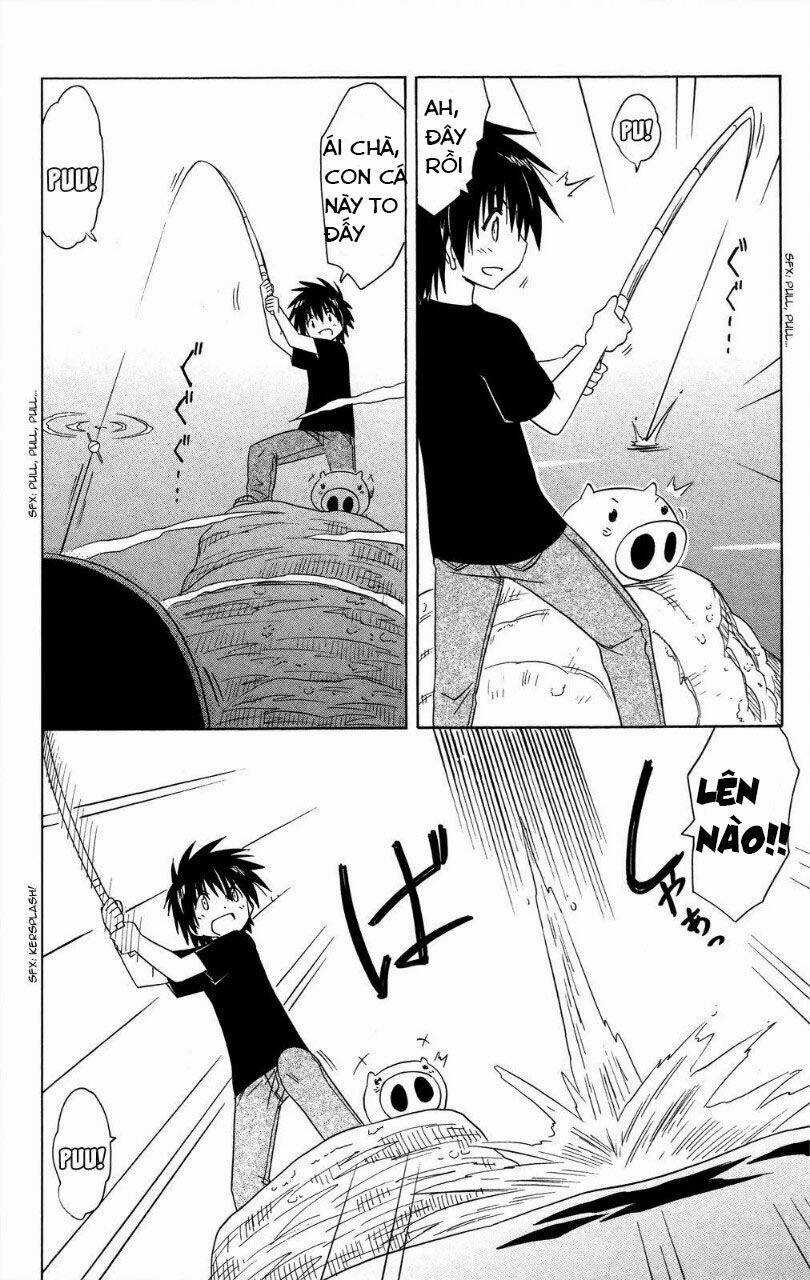 Nagasarete Airantou Chapter 176 trang 5