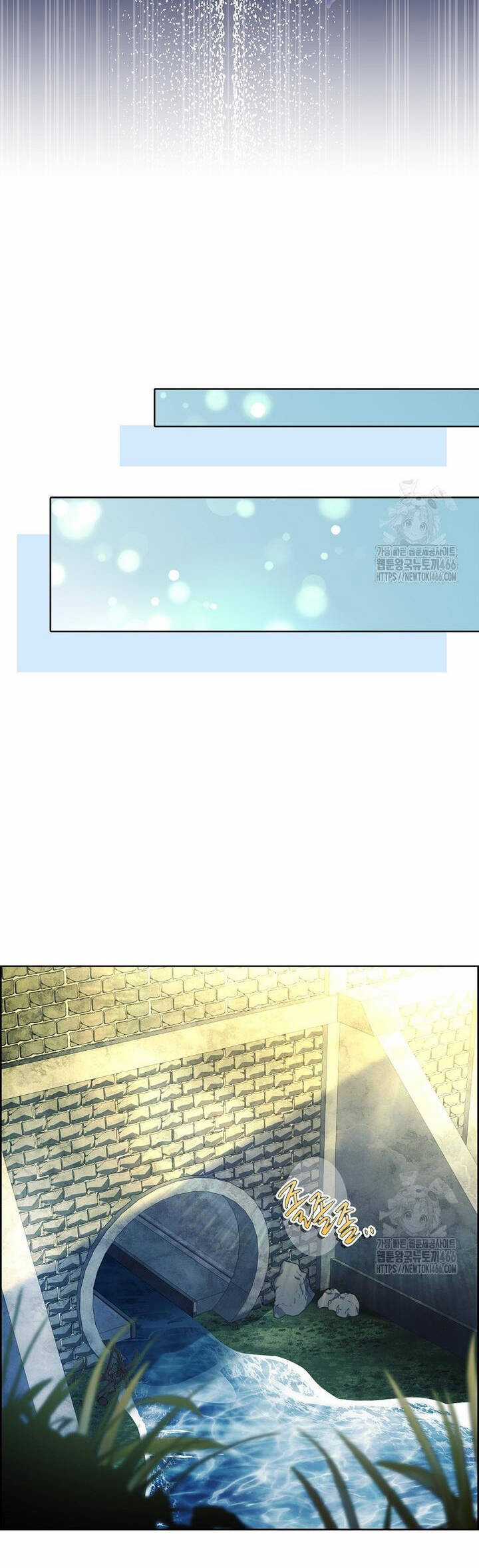 Nam Chính À, Tôi Sẽ Tôn Trọng Sở Thích Của Anh! Chapter 73 trang 24