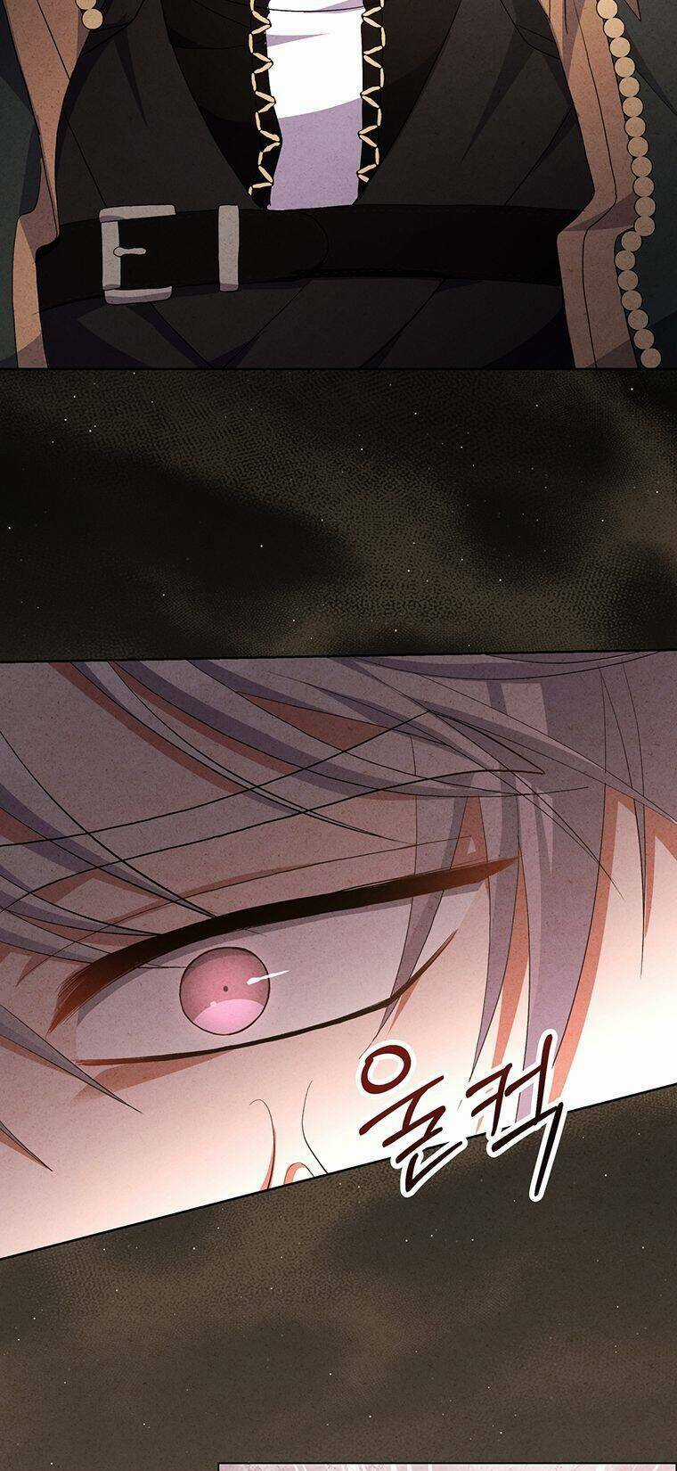 Nam Chính Ám Ảnh Phát Điên Chapter 19 trang 26