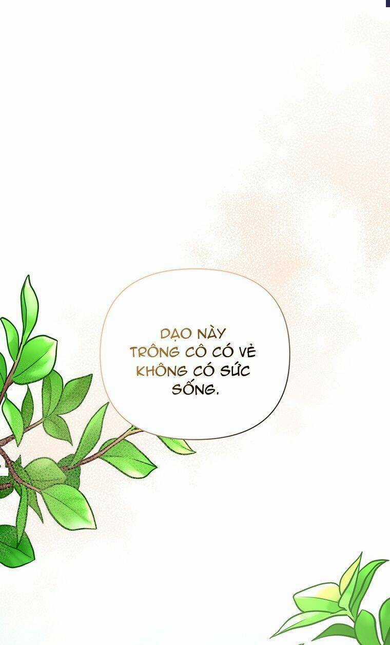 Nam Chính Ám Ảnh Phát Điên Chapter 7 trang 62