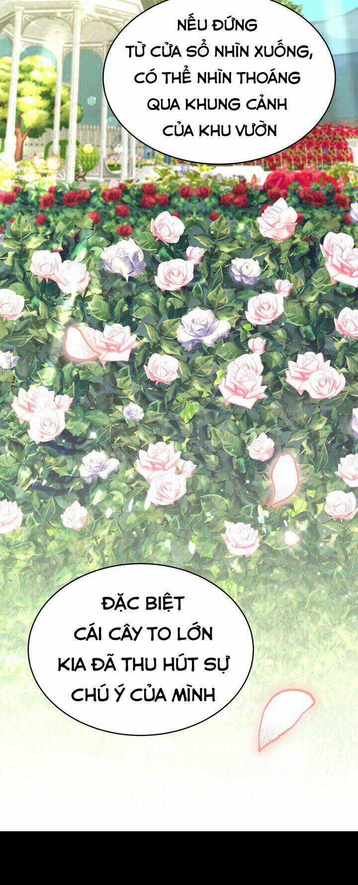 Nam Chính Là Chồng Cũ Của Tôi Chapter 17 trang 15